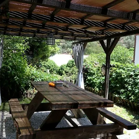 Casa Rural Huerto Tia Juliana Lantställe *